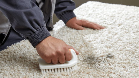 Professional Rug Cleaning Craigieburn